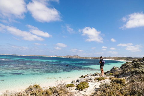 Experience Rottnest With Ferry & Bike Hire From Perth Or Fremantle - Sydney Tourism 3