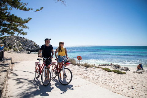 Experience Rottnest With Ferry & Bike Hire From Perth Or Fremantle - Sydney Tourism 4