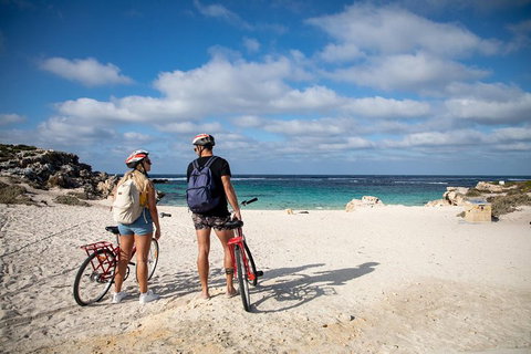 Experience Rottnest With Ferry & Bike Hire From Perth Or Fremantle - Sydney Tourism 5