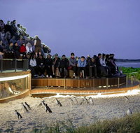 2-Day Great Ocean Road Mornington Peninsula and Phillip Island Tour - Sydney Tourism