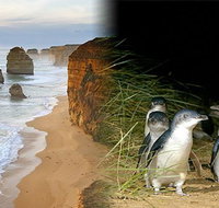 Melbourne Super Saver Great Ocean Road  Phillip Island  Attraction Pass - Sydney Tourism