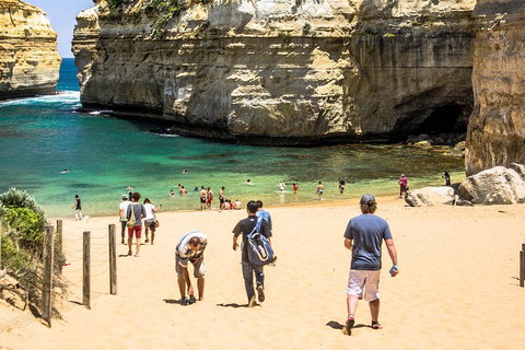 Small-Group Great Ocean Road Classic Day Tour From Melbourne - Sydney Tourism 5