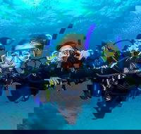 Great Barrier Reef Diving and Snorkeling Cruise from Cairns - Sydney Tourism