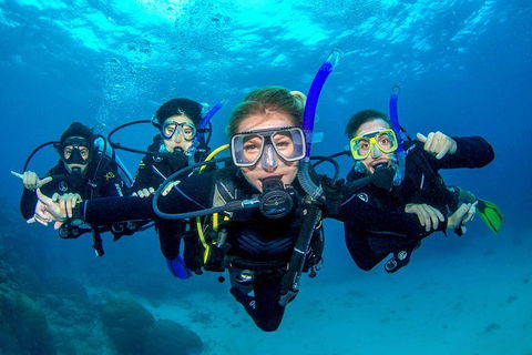 Great Barrier Reef Diving And Snorkeling Cruise From Cairns - Sydney Tourism 0