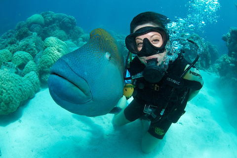 Great Barrier Reef Diving And Snorkeling Cruise From Cairns - Sydney Tourism 2