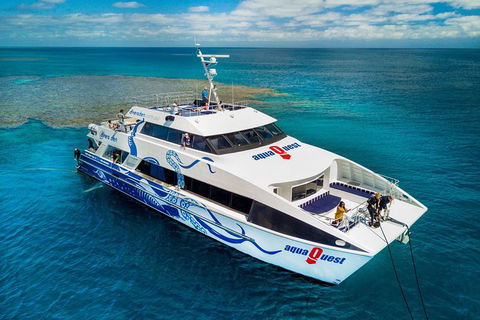 Great Barrier Reef Diving And Snorkeling Cruise From Cairns - Sydney Tourism 5