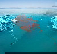 Ocean Freedom Great Barrier Reef Personal Luxury Snorkel  Dive Cruise Cairns - Sydney Tourism