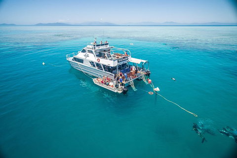 Ocean Freedom Great Barrier Reef Personal Luxury Snorkel & Dive Cruise, Cairns - Sydney Tourism 0