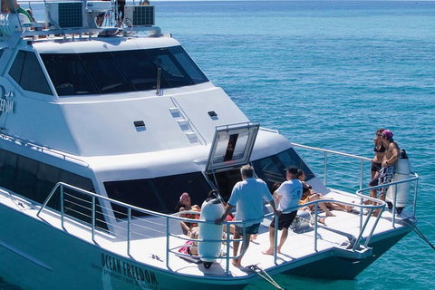 Ocean Freedom Great Barrier Reef Personal Luxury Snorkel & Dive Cruise, Cairns - Sydney Tourism 1