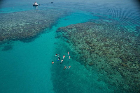 Ocean Freedom Great Barrier Reef Personal Luxury Snorkel & Dive Cruise, Cairns - Sydney Tourism 3