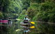 Byron Bay Rainforest Fishing - thumb 0