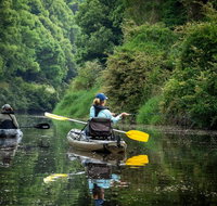 Byron Bay Rainforest Fishing - Sydney Tourism