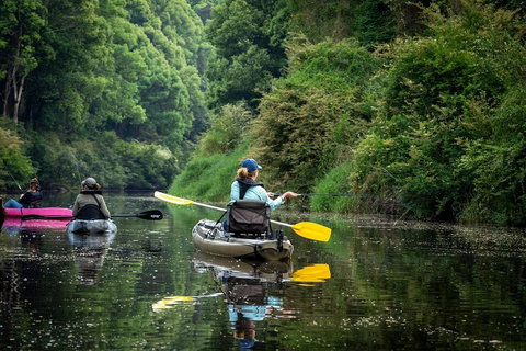 Byron Bay Rainforest Fishing - Sydney Tourism 0