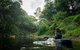 Byron Bay Rainforest Fishing - thumb 1