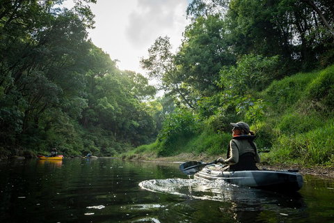 Byron Bay Rainforest Fishing - Sydney Tourism 1