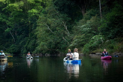 Byron Bay Rainforest Fishing - Sydney Tourism 2