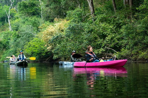 Byron Bay Rainforest Fishing - Sydney Tourism 4