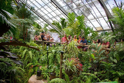 Australian Butterfly Sanctuary - Sydney Tourism 0