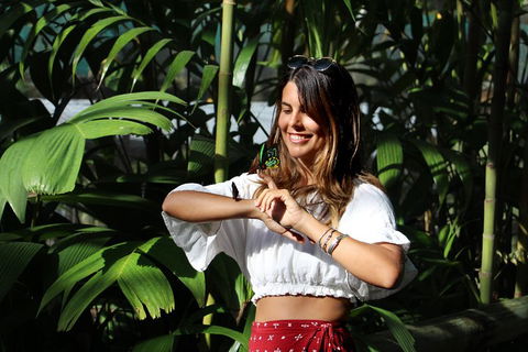 Australian Butterfly Sanctuary - Sydney Tourism 1