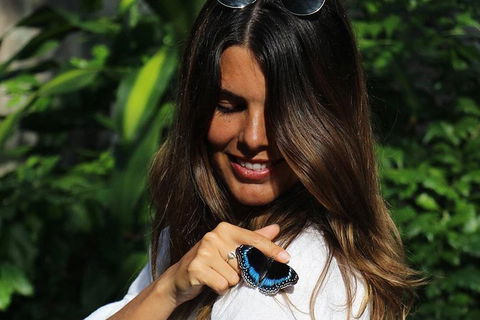 Australian Butterfly Sanctuary - Sydney Tourism 2