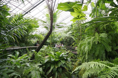 Australian Butterfly Sanctuary - Sydney Tourism 3
