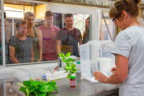 Australian Butterfly Sanctuary - Sydney Tourism 5