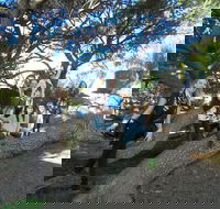 1/2 day Swan Valley Wine Cheese  Chocolate Tour Inc Afternoon Cruise to Perth - Sydney Tourism