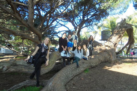 1/2 Day Swan Valley Wine Cheese & Chocolate Tour Inc Afternoon Cruise To Perth - Sydney Tourism 0