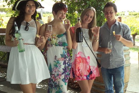 1/2 Day Swan Valley Wine Cheese & Chocolate Tour Inc Afternoon Cruise To Perth - Sydney Tourism 4