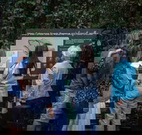 Sunshine Coast Hinterland and Noosa Day Trip from Brisbane Including Eumundi Markets and Ginger Factory - Sydney Tourism