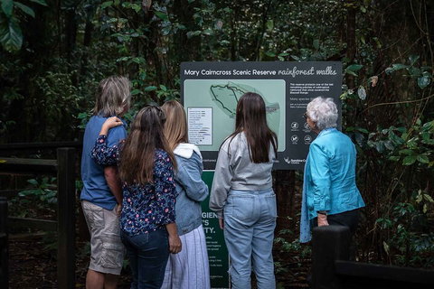 Sunshine Coast Hinterland And Noosa Day Trip From Brisbane Including Eumundi Markets And Ginger Factory - Sydney Tourism 0