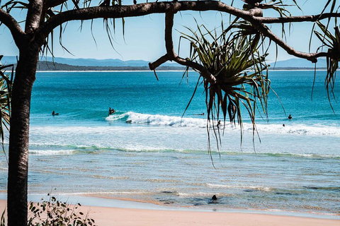 Sunshine Coast Hinterland And Noosa Day Trip From Brisbane Including Eumundi Markets And Ginger Factory - Sydney Tourism 5