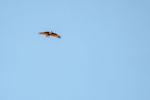 North Stradbroke Island Day Trip From Brisbane - Sydney Tourism 4