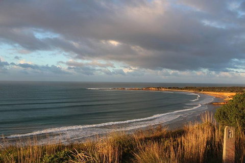 Private Great Ocean Road Day Tour With Early Departure & Early Return (11 Hours) - Sydney Tourism 0