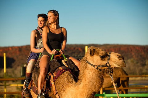 4 Day/3 Night Perentie Dreaming Safari - Sydney Tourism 4