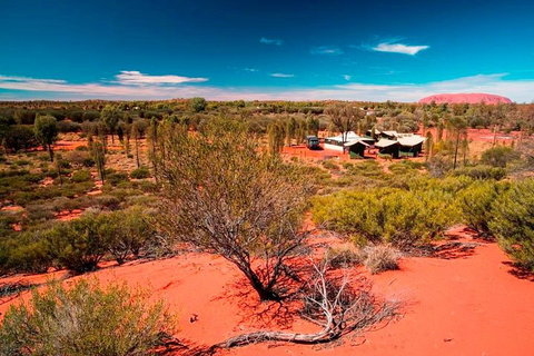 Overnight Uluru (Ayers Rock) Small-Group Camping Tour - Sydney Tourism 2