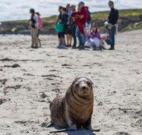 Kangaroo Island in a Day Tour from Adelaide