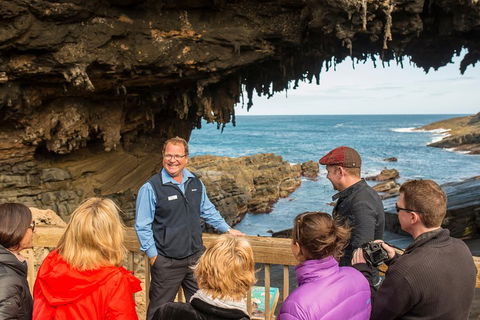 Kangaroo Island In A Day Tour From Adelaide - Sydney Tourism 3
