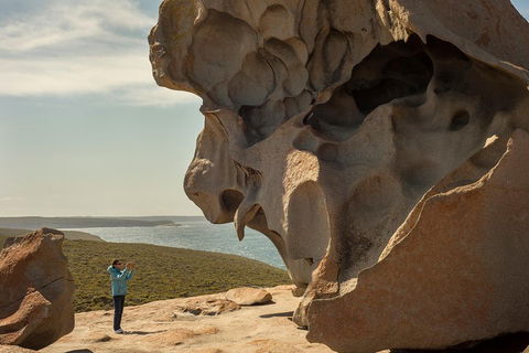 Kangaroo Island In A Day Tour From Adelaide - Sydney Tourism 5