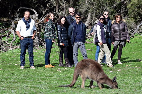 2-Day Kangaroo Island 4WD Small-Group Tour From Adelaide - Sydney Tourism 1