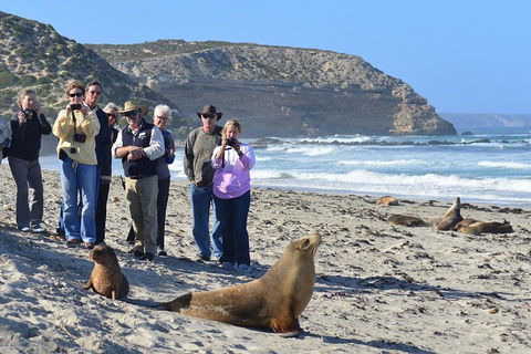 2-Day Kangaroo Island 4WD Small-Group Tour From Adelaide - Sydney Tourism 3