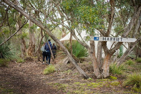 2-Day Kangaroo Island 4WD Small-Group Tour From Adelaide - Sydney Tourism 5