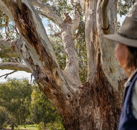 NEW TOUR - Kangaroo Island Road to Recovery Tour 1 Day/1 Night