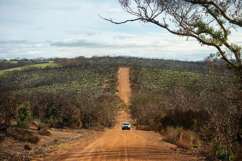 NEW TOUR - Kangaroo Island Road To Recovery Tour (1 Day/1 Night) - Sydney Tourism 2