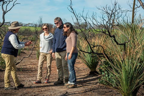 NEW TOUR - Kangaroo Island Road To Recovery Tour (1 Day/1 Night) - Sydney Tourism 4