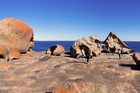 Full-Day Kangaroo Island Experience Departing From Kangaroo Island - Sydney Tourism 4