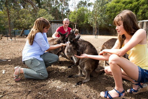 Full-Day Kangaroo Island Experience Departing From Kangaroo Island - Sydney Tourism 5