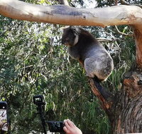 Small-Group Great Ocean Road Day Trip from Melbourne - Sydney Tourism