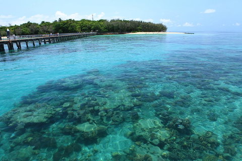 Cairns City Sights And Surrounds Tour - Sydney Tourism 1