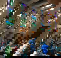 Cairns Shore Excursion Cairns City Sights  Surrounds Tour - Sydney Tourism